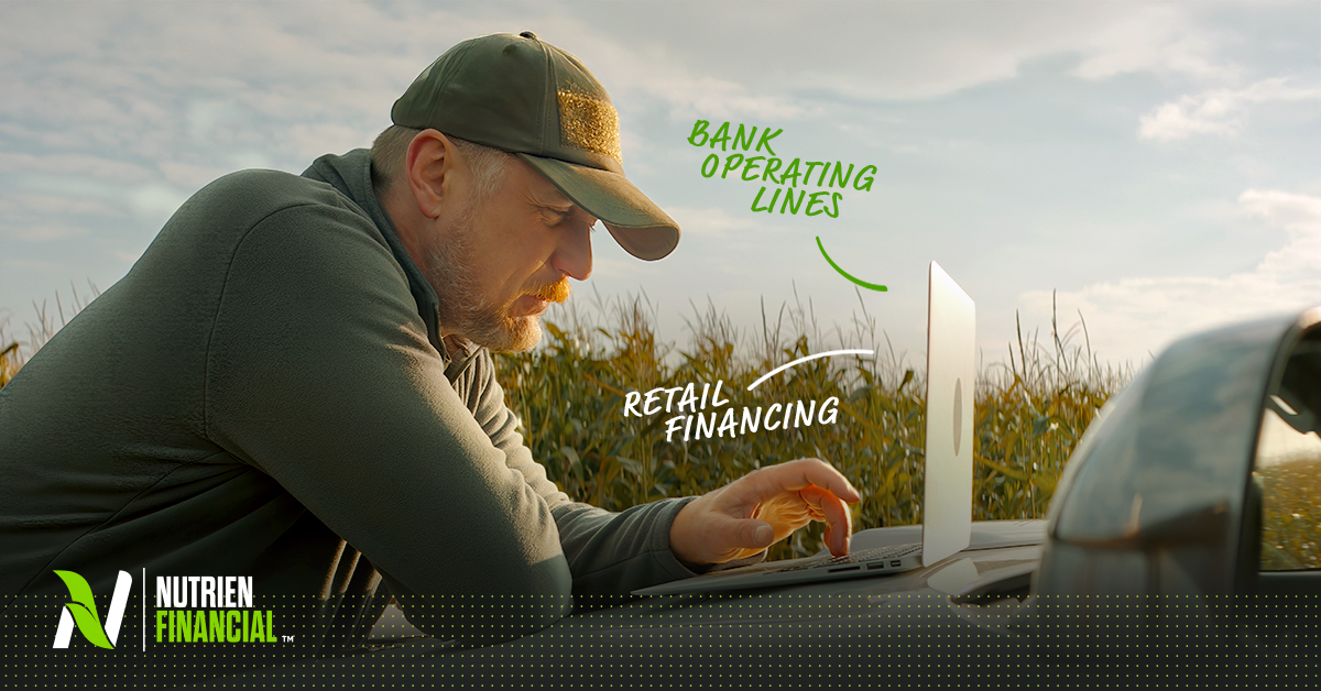 Retail Financing or Bank Operating Lines for Inputs: Which Offers More Value? 