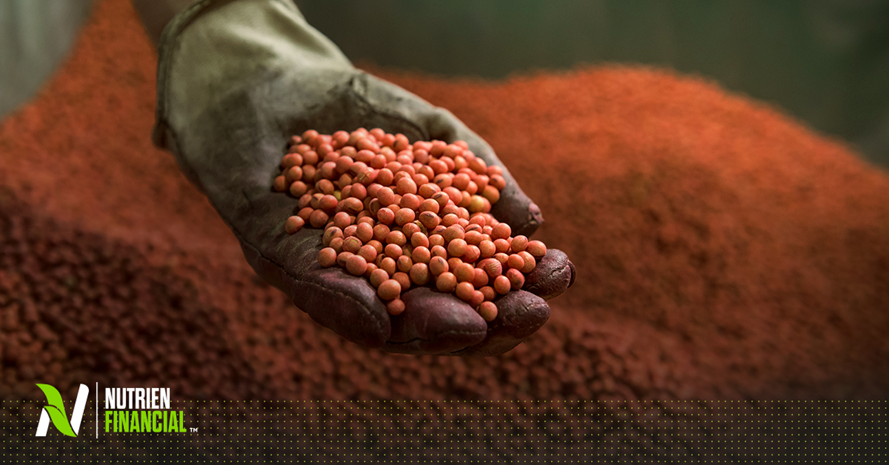 Seed Financing This Fall: Where Timing Can Create Value