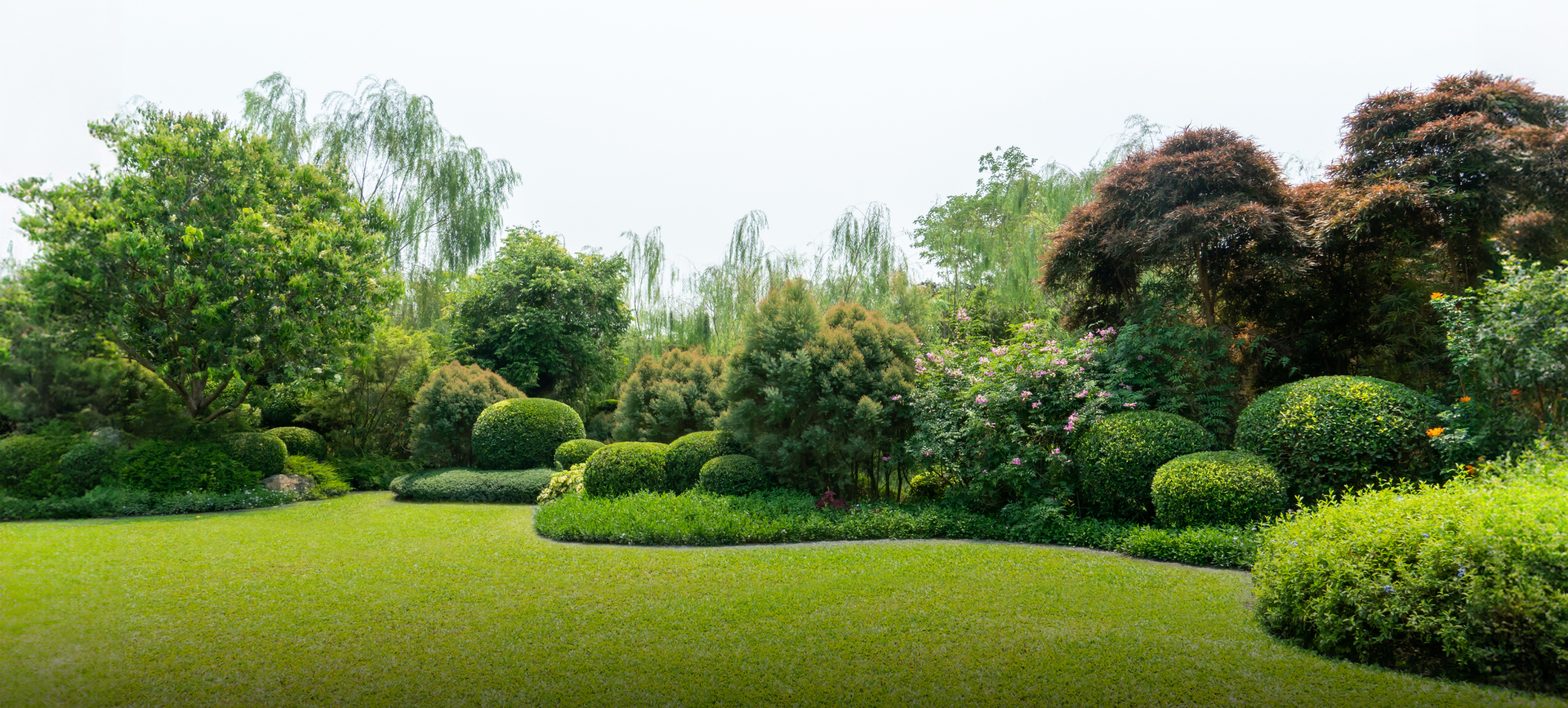 Early Order Programs