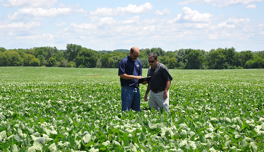 Growers in a field with a tablet